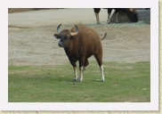 DSC_4257 * 700 x 464 * (252KB)