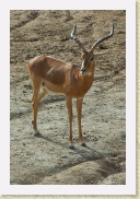 DSC_4270 * 356 x 534 * (220KB)