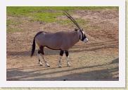 DSC_4282 * 700 x 464 * (383KB)