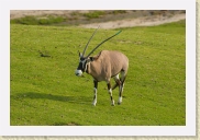 DSC_4290 * 700 x 464 * (341KB)