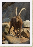 DSC_4298 * 356 x 534 * (188KB)