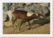 DSC_4306 * 700 x 467 * (316KB)