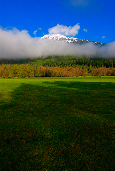 You have reached the last slide